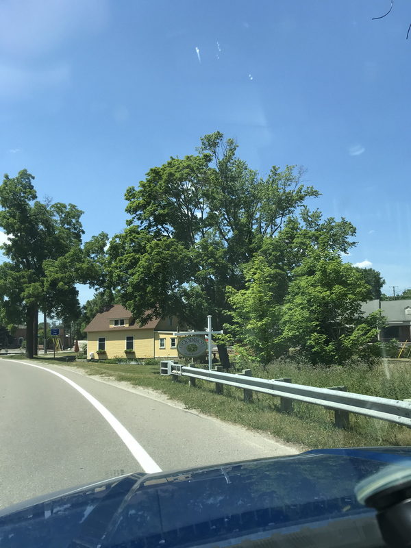 Goodison - July 2020 Photo (newer photo)